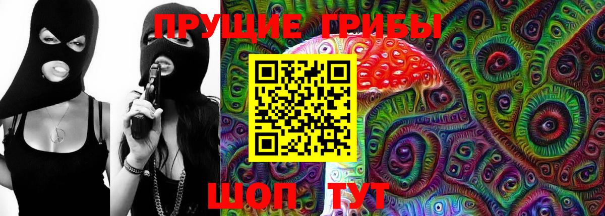 Елизово  Псилоцибиновые грибы мицелий  Вход с VPN 